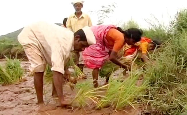 Thousands Of Farmers March From Nashik To Mumbai, Demand Loan Waiver