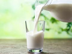 6 Best Non-Dairy Substitutes For Milk