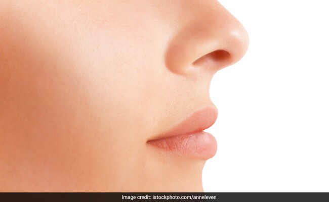 Researchers Develop Innovative Model To Study Sense Of Smell: Study