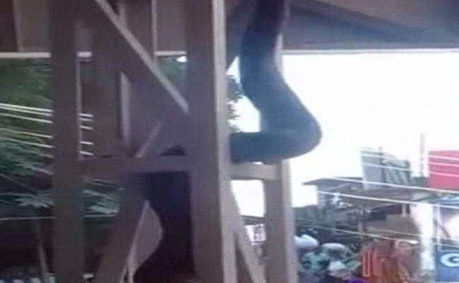 15-Foot Python Spotted At Jammu's Katra Station. Video Is Viral