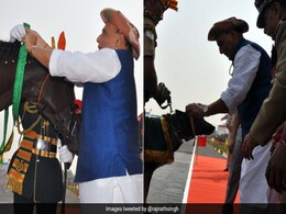 'They Served Nation Too' Rajnath Singh Honours ITBP's Four-Legged Heroes 'They Served Nation Too' Rajnath Singh Honours ITBP's Four-Legged Heroes