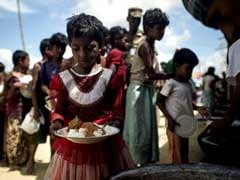 Pope Can Help But Rohingya "Have To Go Back": Bangladesh's Cardinal