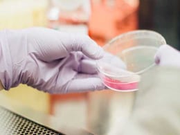 World Science Day For Peace And Development 2021: Know The Date, Theme, And Significance World Science Day For Peace And Development 2021: Know The Date, Theme, And Significance