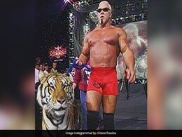 WWE का यह सुपरस्टार टाइगर लेकर आ गया था रिंग में, अब भोजपुरी बोलता नजर आएगा WWE का यह सुपरस्टार टाइगर लेकर आ गया था रिंग में, अब भोजपुरी बोलता नजर आएगा