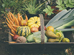 Vegetables For Diabetics: ब्लड शुगर लेवल को कंट्रोल में रखने के लिए डायबिटीज रोगियों को जरूर खानी चाहिए ये 5 सब्जियां!