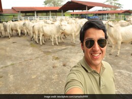 Click A 'Cowfie': Kolkata NGO's Unique Campaign To Save The Animal Click A 'Cowfie': Kolkata NGO's Unique Campaign To Save The Animal