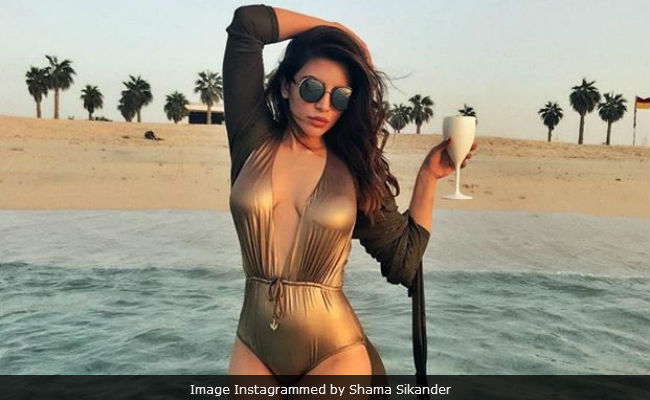 Viral: Shama Sikander's 'Beautiful, Wild And Free' Pics From Dubai