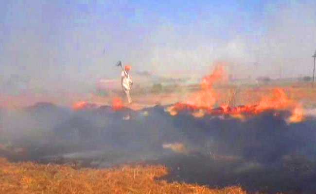 16 Farmers Arrested In Mathura For Stubble Burning