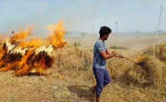 Rs 2000 Crore Road Map To End Stubble Burning Submitted In Supreme Court