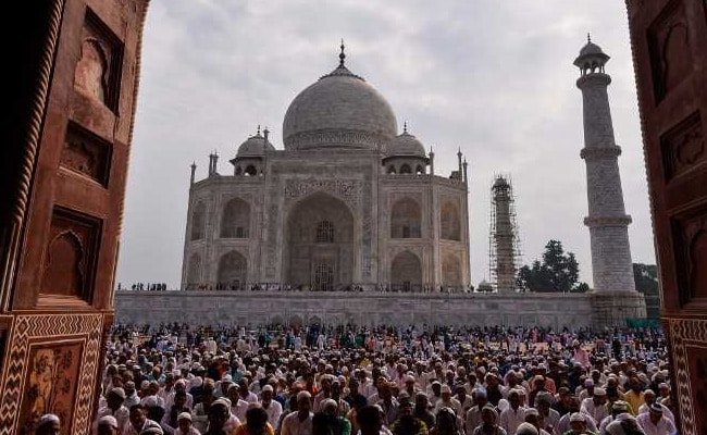 Taj Mahal Now Turning Brown And Green, Fix It: Supreme Court To Centre