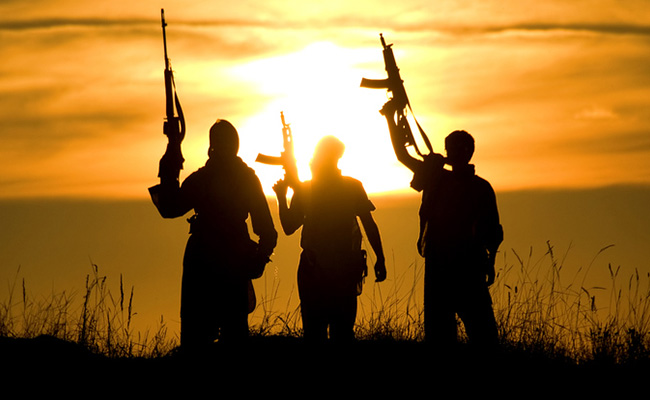 Pak-Supported Terror Groups Will Continue Attacks In India: US