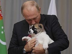 Dog Lover Vladimir Putin Gets Top Breed Pup As Gift From Turkmen Leader