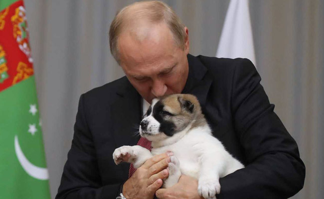 Dog Lover Vladimir Putin Gets Top Breed Pup As Gift From Turkmen Leader