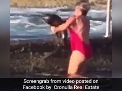 Watch: Woman Wrestles Shark Out Of Pool With Bare Hands