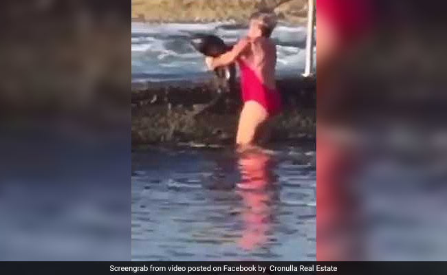 Watch: Woman Wrestles Shark Out Of Pool With Bare Hands