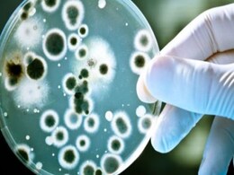 WHO Warns Against the Use of Antibiotics in Food-Producing Animals WHO Warns Against the Use of Antibiotics in Food-Producing Animals