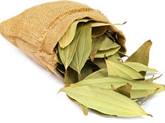 Tej Patta (Bay Leaves) For Diabetes: How To Use This Herb To Regulate Blood Sugar
