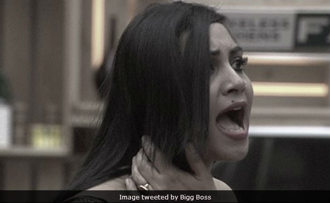Bigg Boss 11: Twitter Turns On Hina Khan For Slut-Shaming Arshi Khan