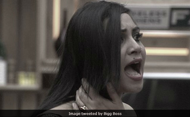 <I>Bigg Boss 11</i>: Twitter Turns On Hina Khan For Slut-Shaming Arshi Khan