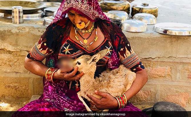 यहां जानवरों को अपना दूध पिलाती हैं महिलाएं, वायरल हो रही है ये PHOTO