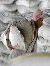 Ambuja Cements Posts Rs 537 Crore Profit In December Quarter