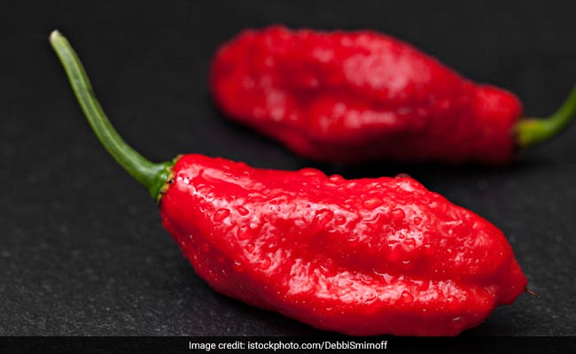 chilli peppers helps in reducing pain