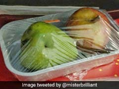 He Asked For A Vegetarian In-Flight Meal, Was Served This