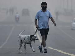 Lessons From Beijing As Delhi Fights Toxic Smog