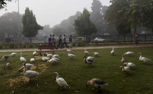 Air Quality Improves In Delhi, Parking Fee Hike Rolled Back, Truck Ban Lifted