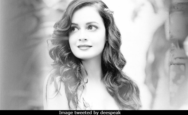 Dia Mirza Is Now UN Environment Goodwill Ambassador For India