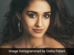Disha Patani Trolled For Latest Pics, Told 'Don't Expose So Much'