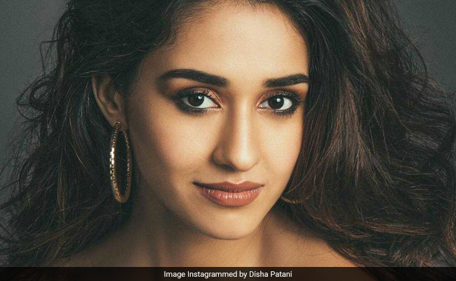 Disha Patani Trolled For Latest Pics, Told 'Don't Expose So Much'