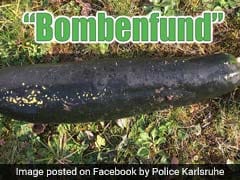 German Man Finds Unexploded WWII Bomb In Backyard. It Was An Eggplant