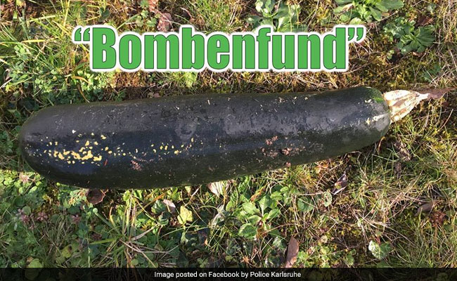 German Man Finds Unexploded WWII Bomb In Backyard. It Was An Eggplant