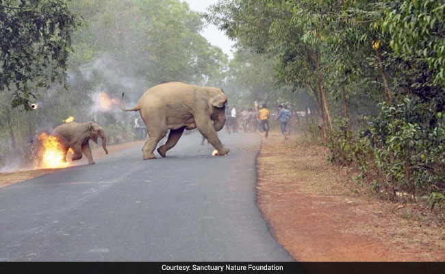 Blog: You And I, We're Both Responsible For This Photo