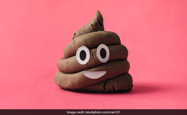 Artist Donates Poop To 'Gut-Busting' Research