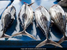 How To Check If The Fish You Bought Is Fresh? How To Check If The Fish You Bought Is Fresh?