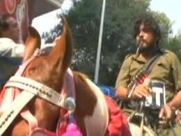 सूरत की सड़कों पर अचानक दिखे गब्बर, कालिया और ठाकुर, जानिये क्या है पूरा मामला... सूरत की सड़कों पर अचानक दिखे गब्बर, कालिया और ठाकुर, जानिये क्या है पूरा मामला...