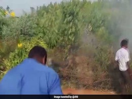 तेलंगाना में वायुसेना का प्रशिक्षण विमान दुर्घटनाग्रस्त, महिला पायलट सुरक्षित तेलंगाना में वायुसेना का प्रशिक्षण विमान दुर्घटनाग्रस्त, महिला पायलट सुरक्षित