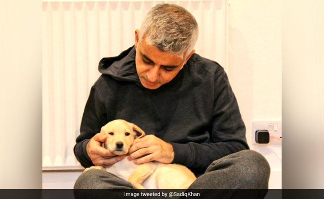 London Mayor Sadiq Khan's New Puppy Is The Object Of The Internet's Affection