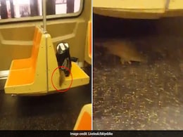 New Yorkers Scream, Jump In Horror During Subway Ride. Reason? A Rat New Yorkers Scream, Jump In Horror During Subway Ride. Reason? A Rat
