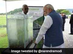 Visiting Rice Research Institute In Philippines, PM Modi Donates 2 Indian Seed Varieties To Gene Bank