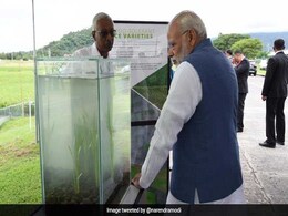 Visiting Rice Research Institute In Philippines, PM Modi Donates 2 Indian Seed Varieties To Gene Bank Visiting Rice Research Institute In Philippines, PM Modi Donates 2 Indian Seed Varieties To Gene Bank