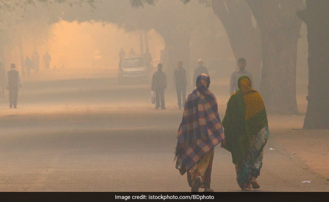 Pollution In Delhi: CSE Stresses On The Need For An Action Plan
