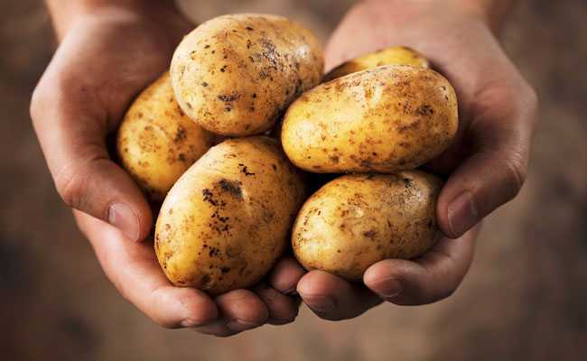 आलू खाने से होते हैं ये 4 नुकसान, क्या आपको पता है...