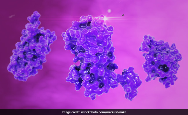 This New Protein Can Control The Spread Of Cancer