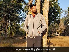Ravichandran Ashwin Basks In Nature's Glory After Record-Breaking Feat