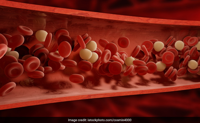 The Solution To Regenerating Blood Vessels Discovered