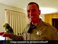Cries For Help Prompt 911 Call. Turns Out, It Was A Parrot
