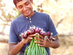 5 Roots That You Didn't Know Can Be Eaten